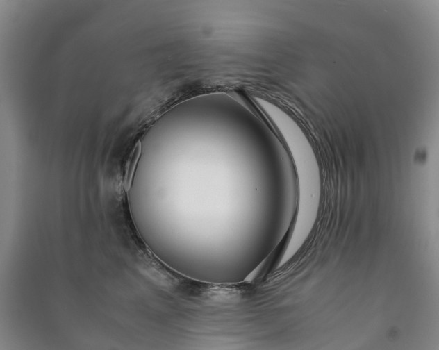 X0000090960617200708161817
