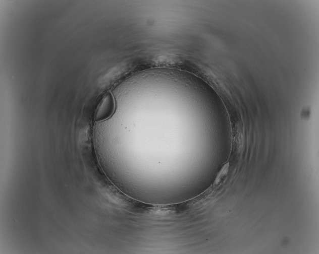 X0000090960619200708161817