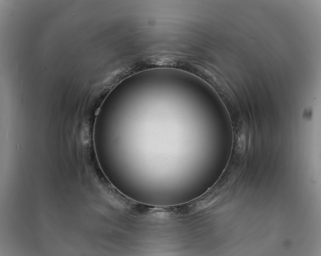 X0000090960620200708161817