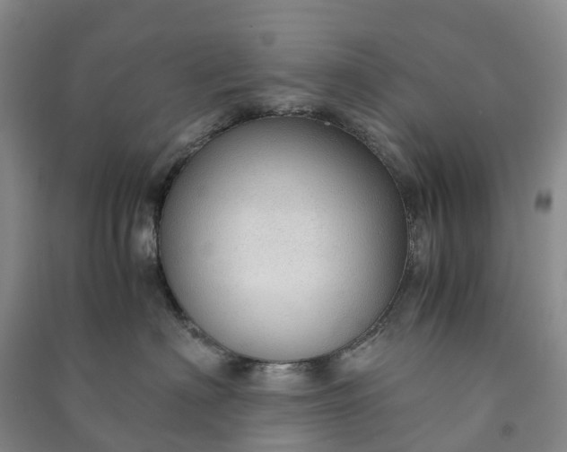 X0000090960622200708161817