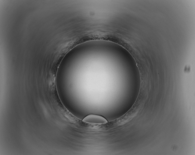 X0000090960624200708161817