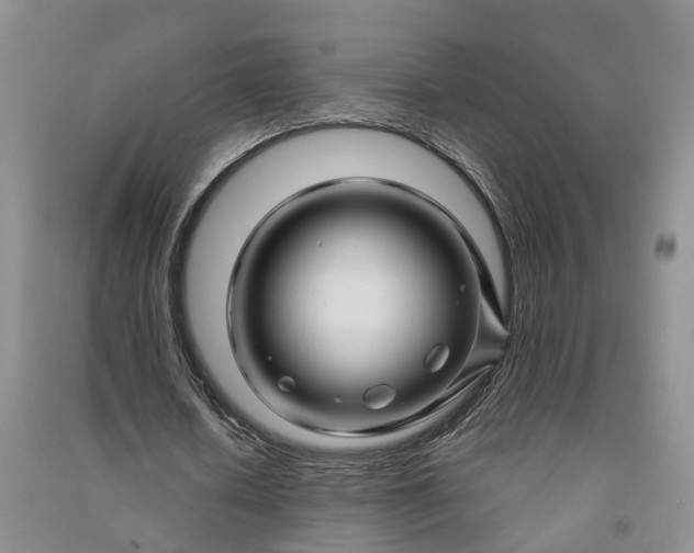 X0000090960626200708161816