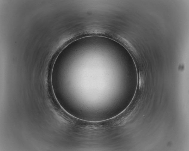 X0000090960627200708161816