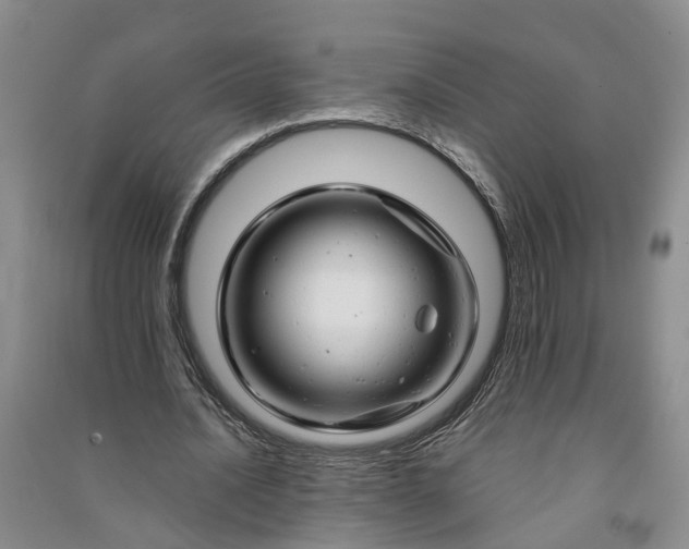 X0000090960628200708161816