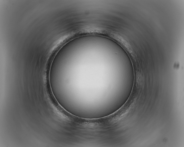 X0000090960629200708161816