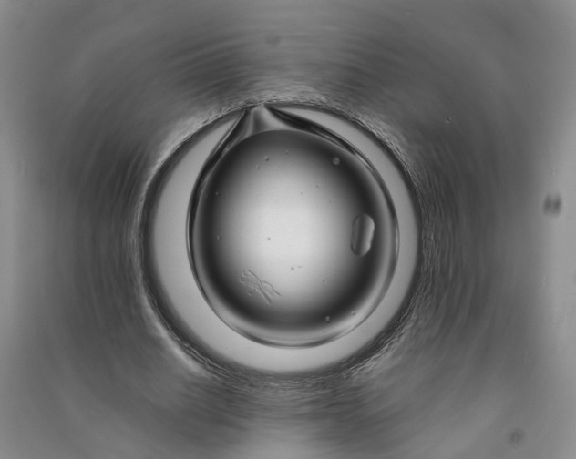 X0000090960630200708161816