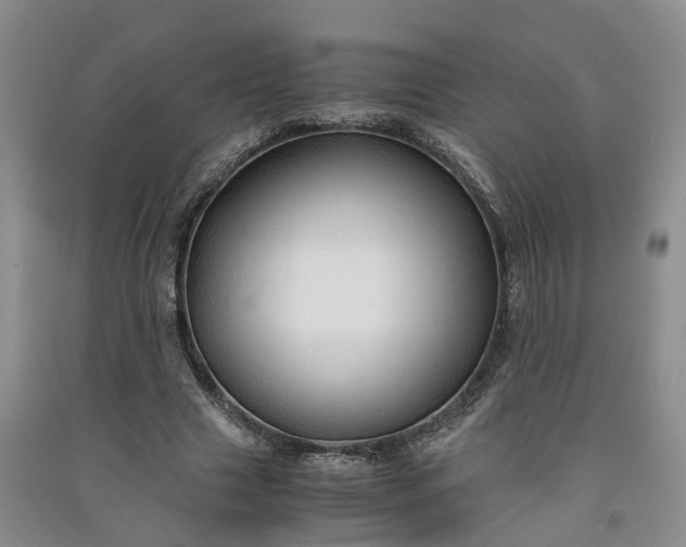 X0000090960633200708161816