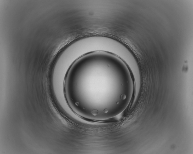 X0000090960634200708161816