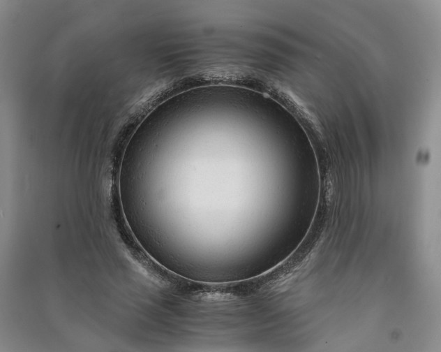 X0000090960637200708161816