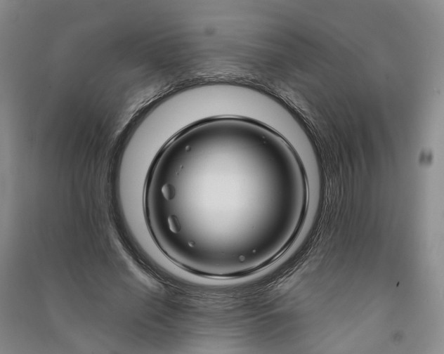 X0000090960638200708161816