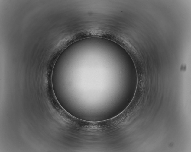 X0000090960639200708161816