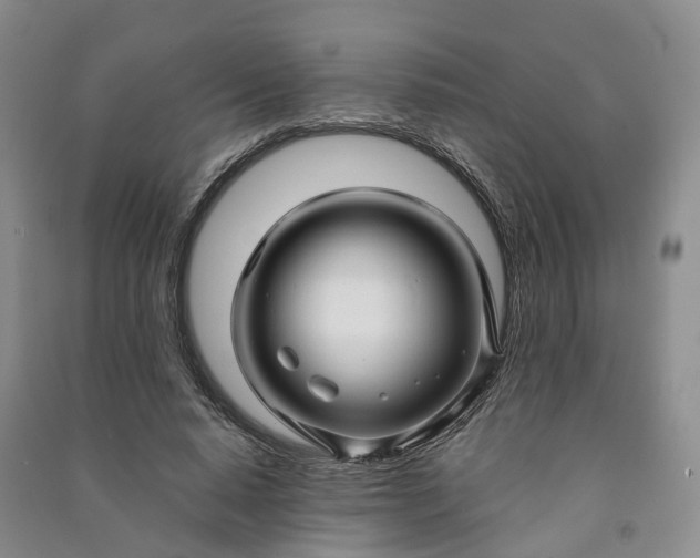 X0000090960640200708161816