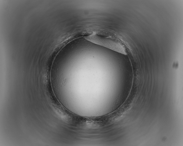 X0000090960641200708161816