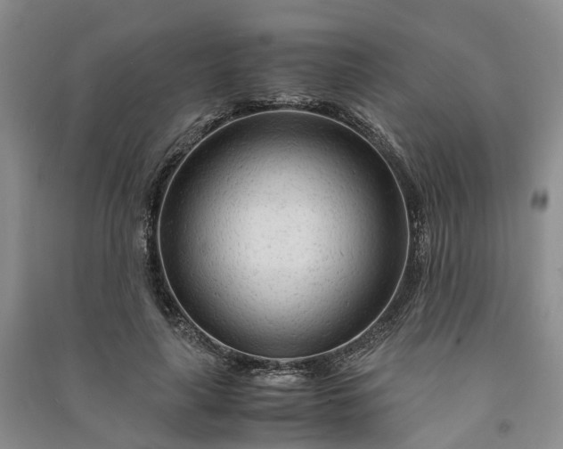 X0000090960643200708161816