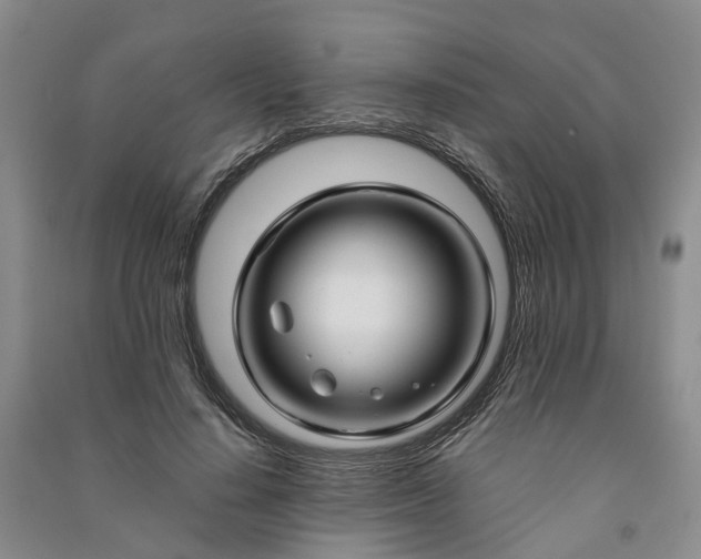 X0000090960644200708161816