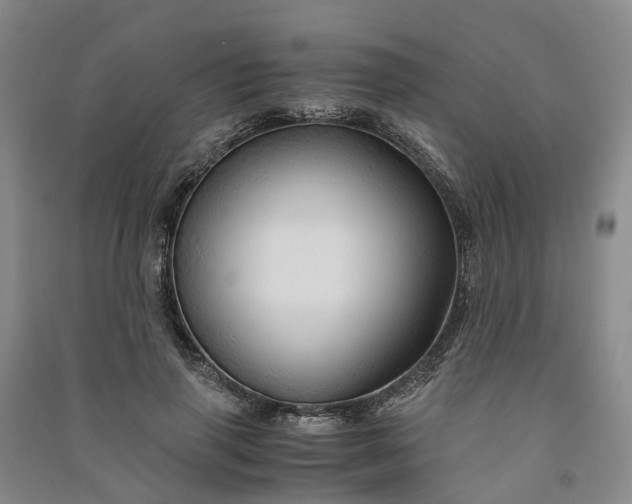 X0000090960645200708161816