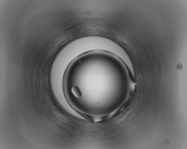 X0000090960646200708161816