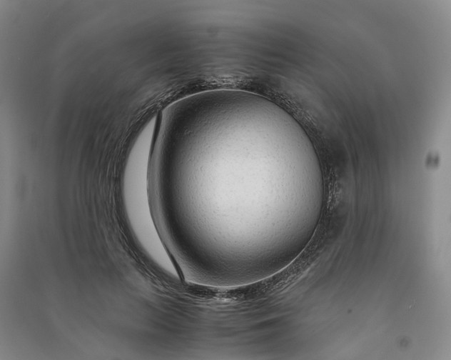 X0000090960647200708161816