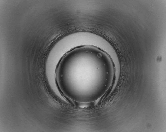 X0000090960648200708161816
