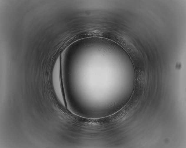 X0000090960649200708161816