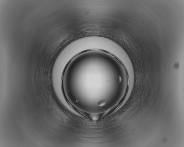 X0000090960650200708161816