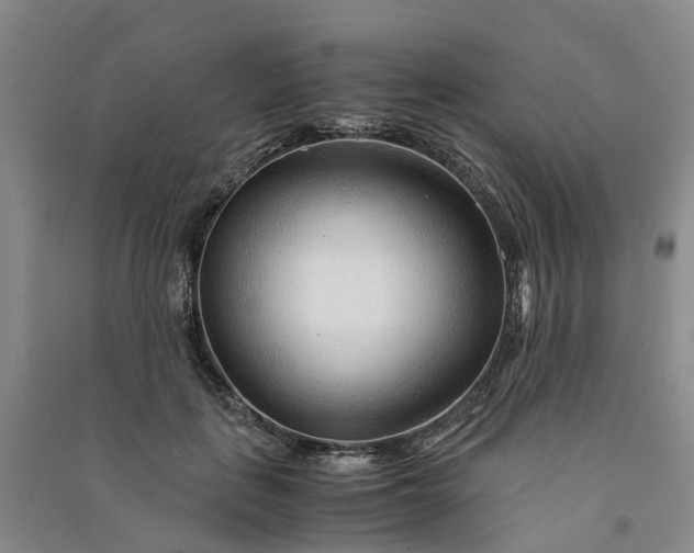 X0000090960651200708161816