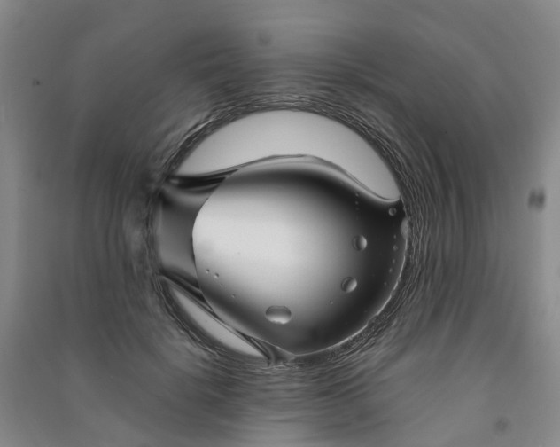 X0000090960652200708161816