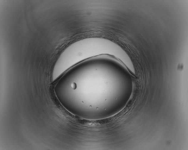 X0000090960654200708161816
