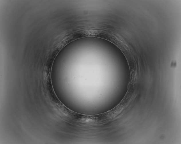 X0000090960655200708161816