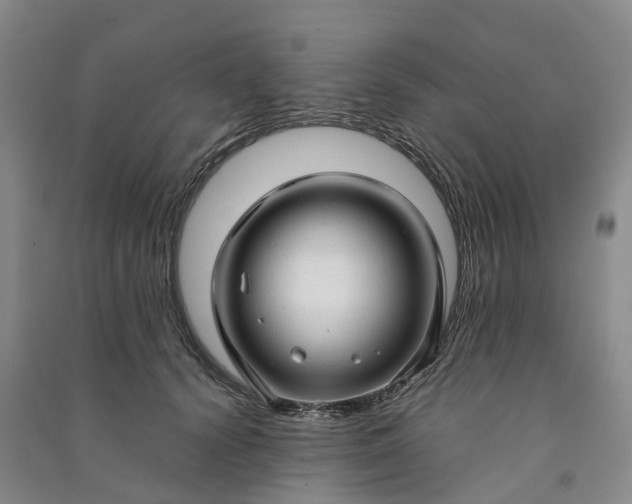 X0000090960656200708161816