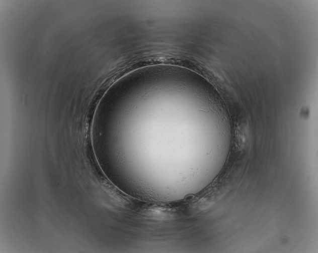 X0000090960657200708161816