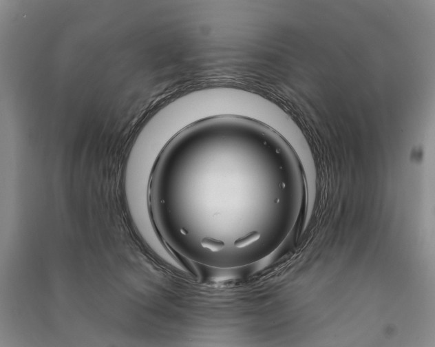 X0000090960660200708161816