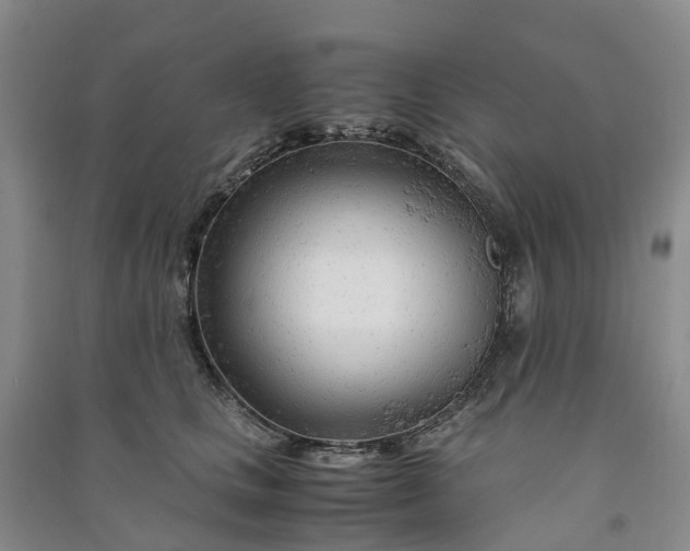 X0000090960661200708161817