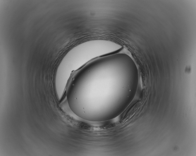 X0000090960662200708161817