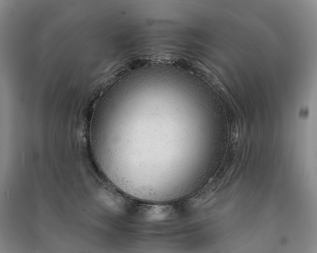 X0000090960663200708161817