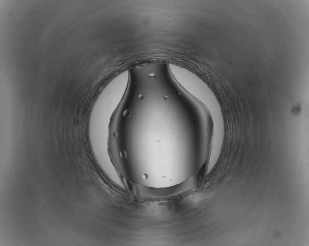 X0000090960664200708161817