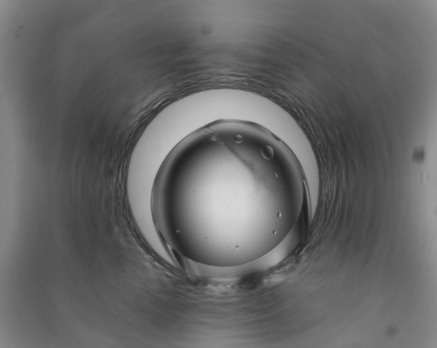 X0000090960666200708161817