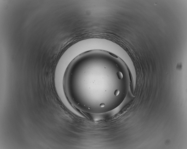 X0000090960668200708161817