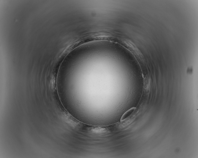 X0000090960669200708161817