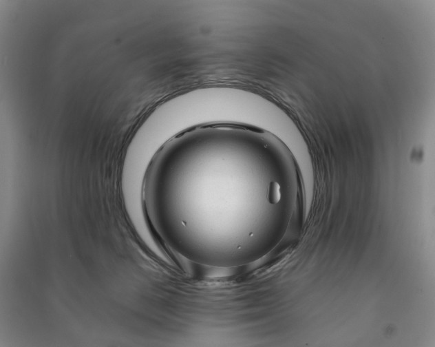 X0000090960670200708161817