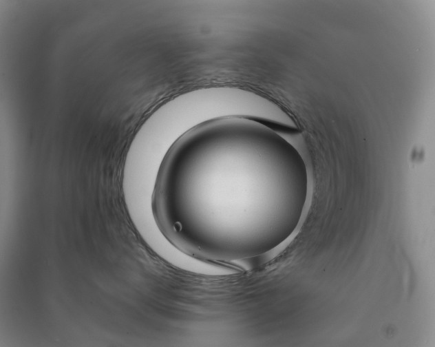 X0000090960672200708161817