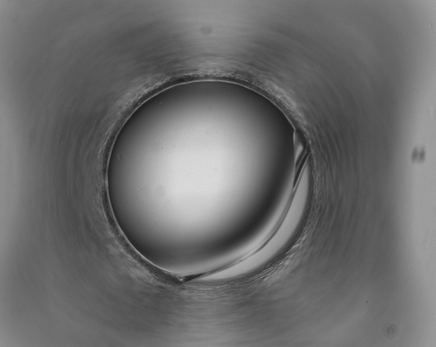 X0000090960673200708161816