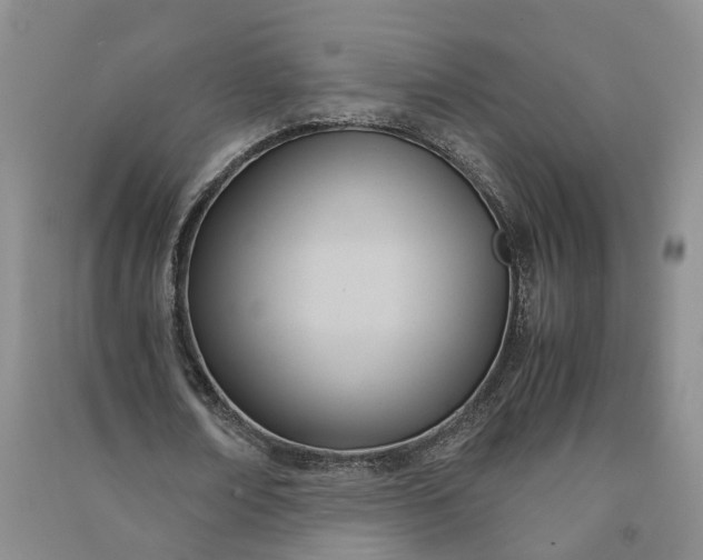 X0000090960674200708161816