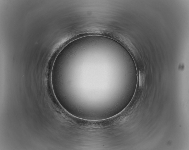 X0000090960675200708161816