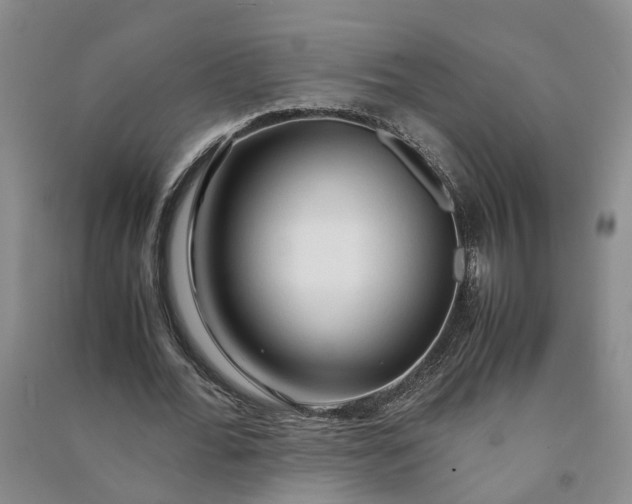 X0000090960676200708161816
