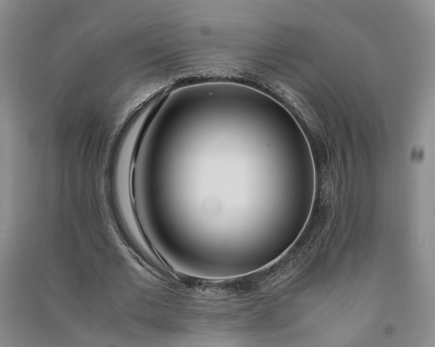 X0000090960677200708161816