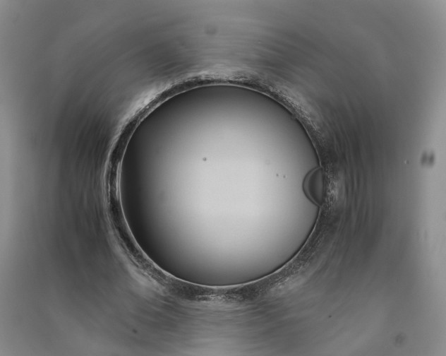 X0000090960678200708161816
