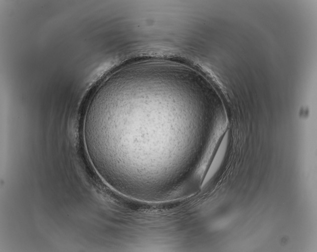 X0000090960679200708161816