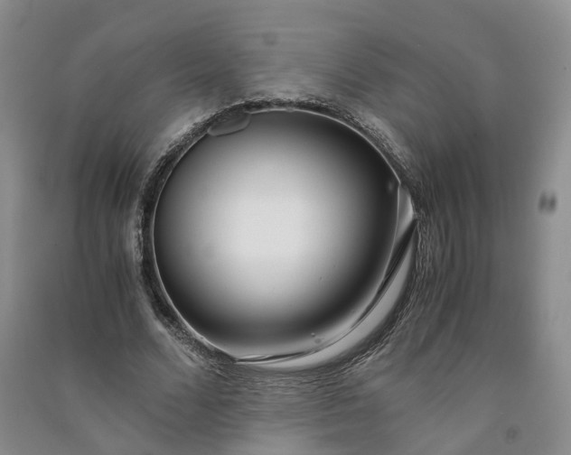 X0000090960680200708161816