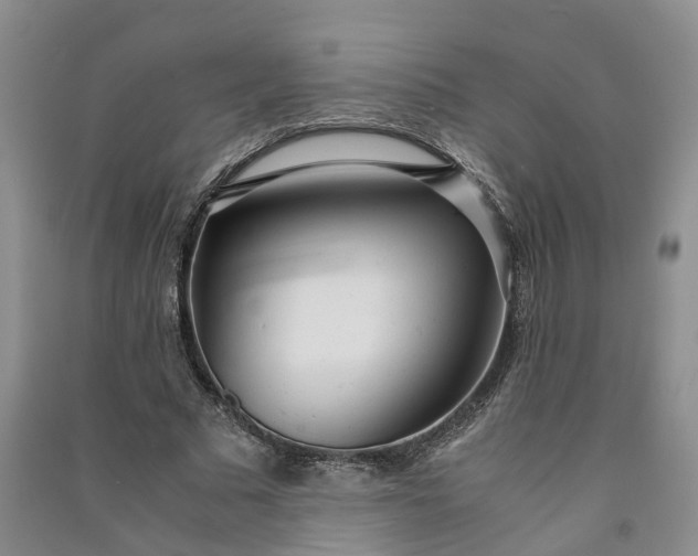 X0000090960681200708161816